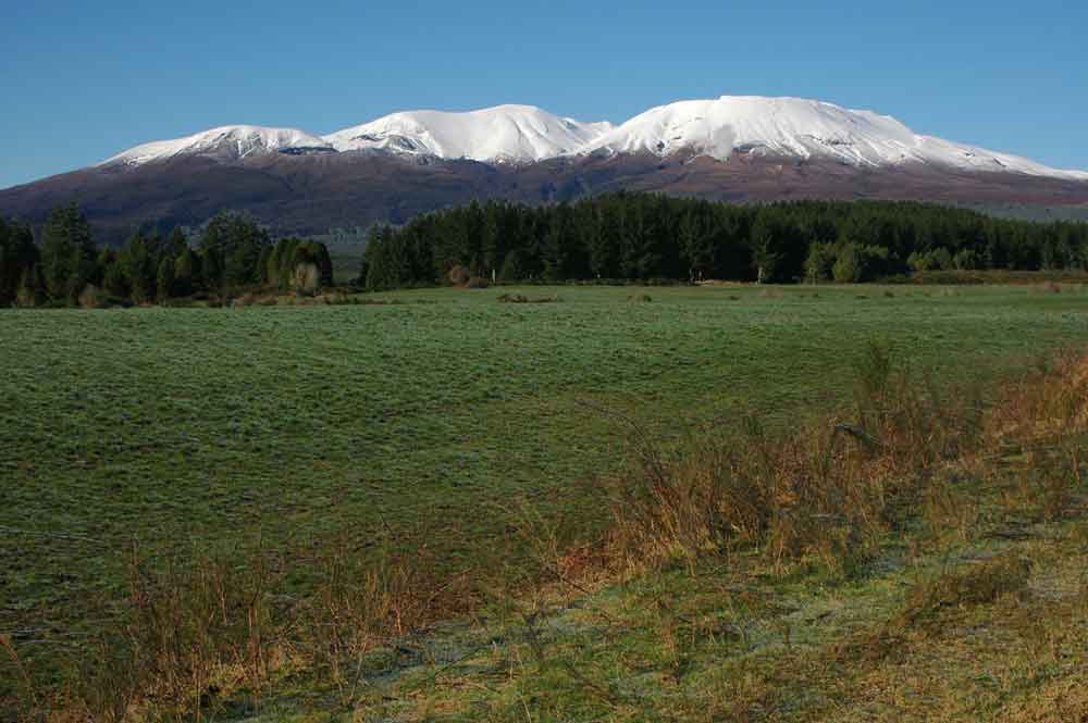 Nueva Zelanda - parque nacional de Tongariro 1